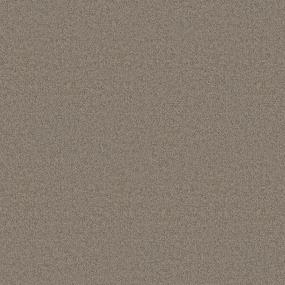 Plush Saxony Espresso Brown Carpet