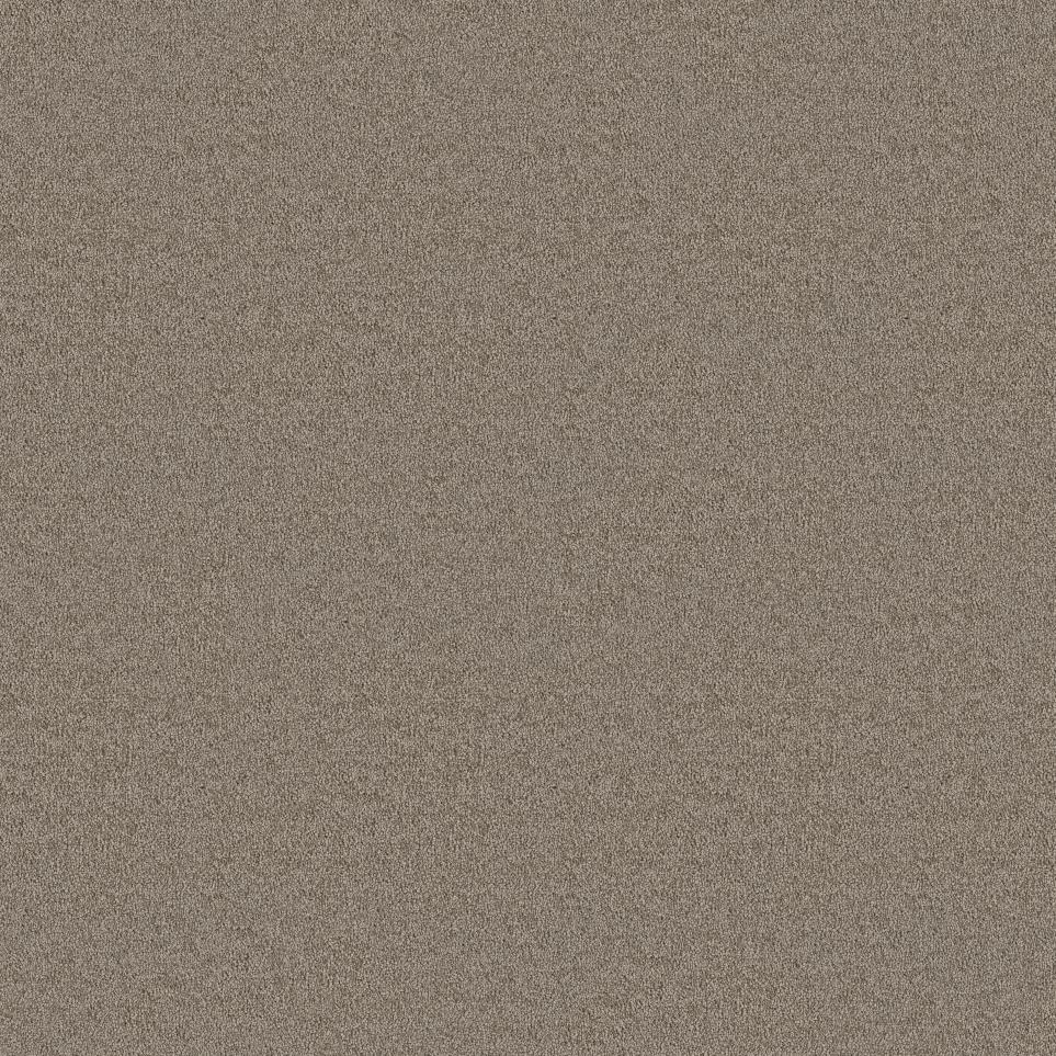 Plush Saxony Espresso Brown Carpet