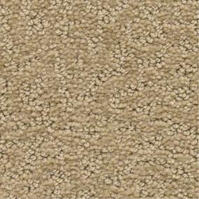 Pattern Splendid Beige/Tan Carpet