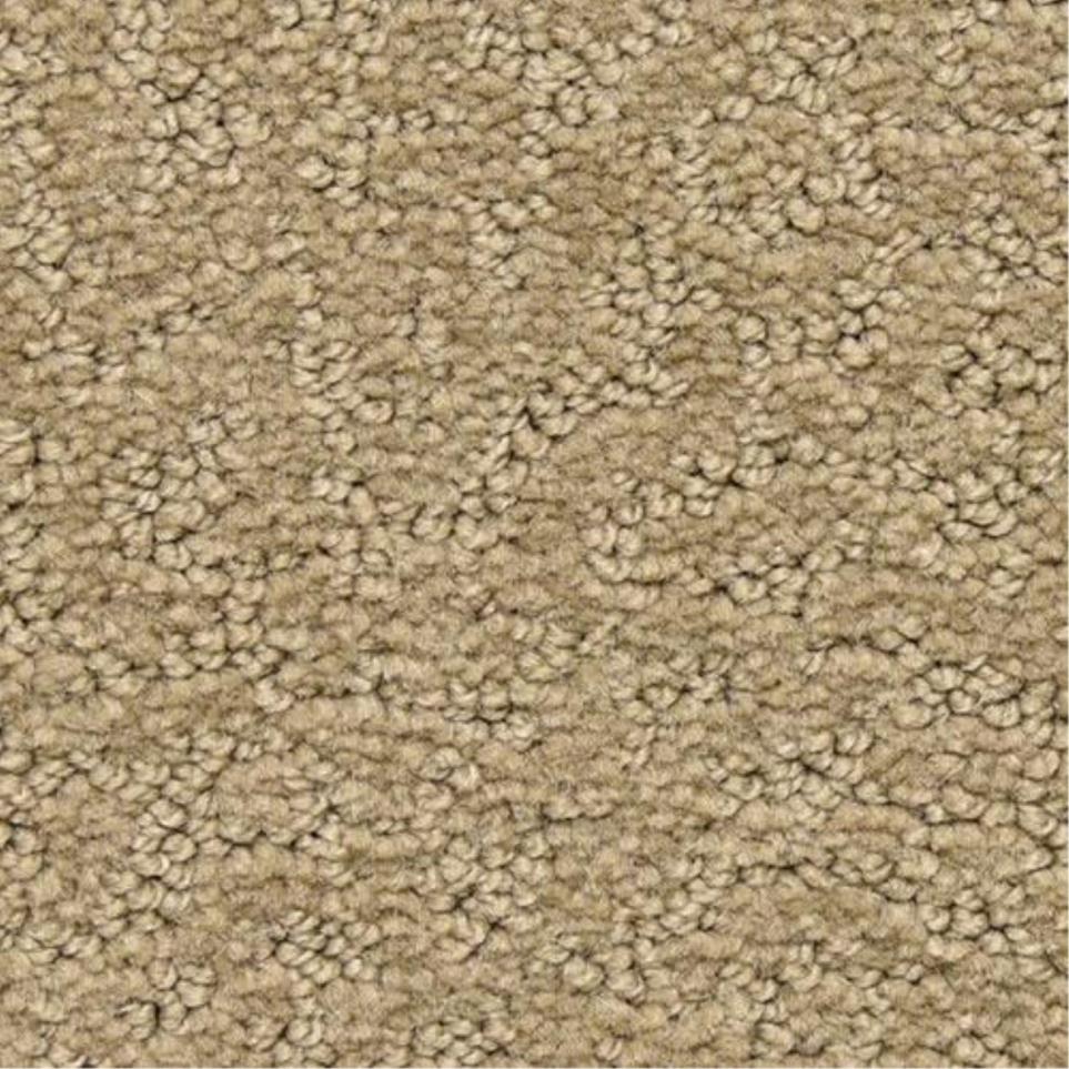 Pattern Splendid Beige/Tan Carpet