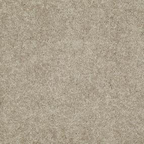Textured Saxony Rich Earth Beige/Tan Carpet