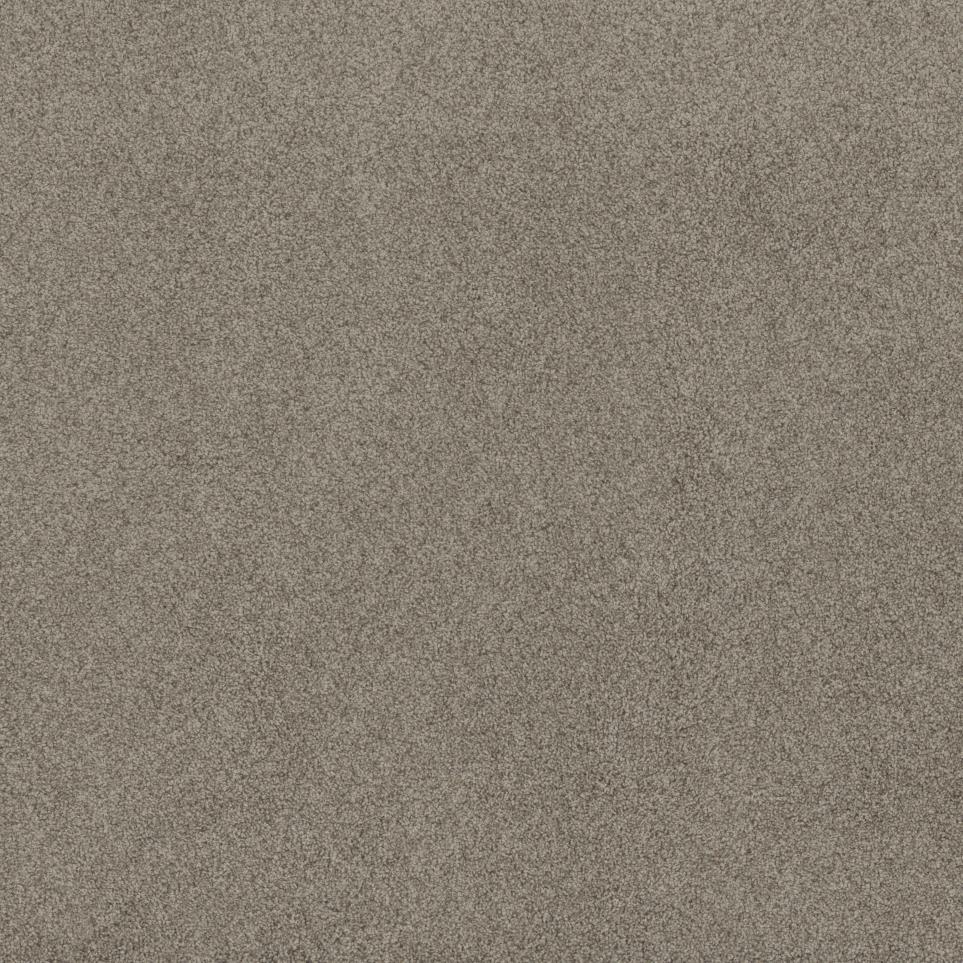 Texture Savory Brown Carpet