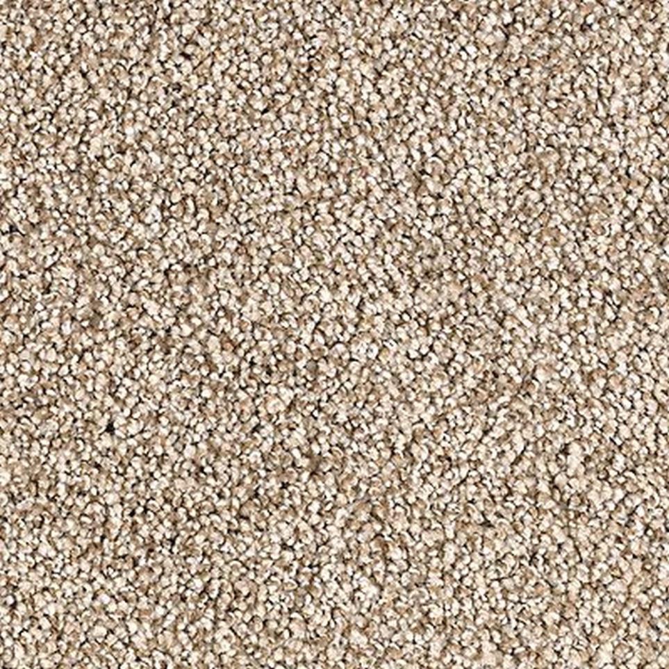 Textured Saxony Mineral Beige/Tan Carpet