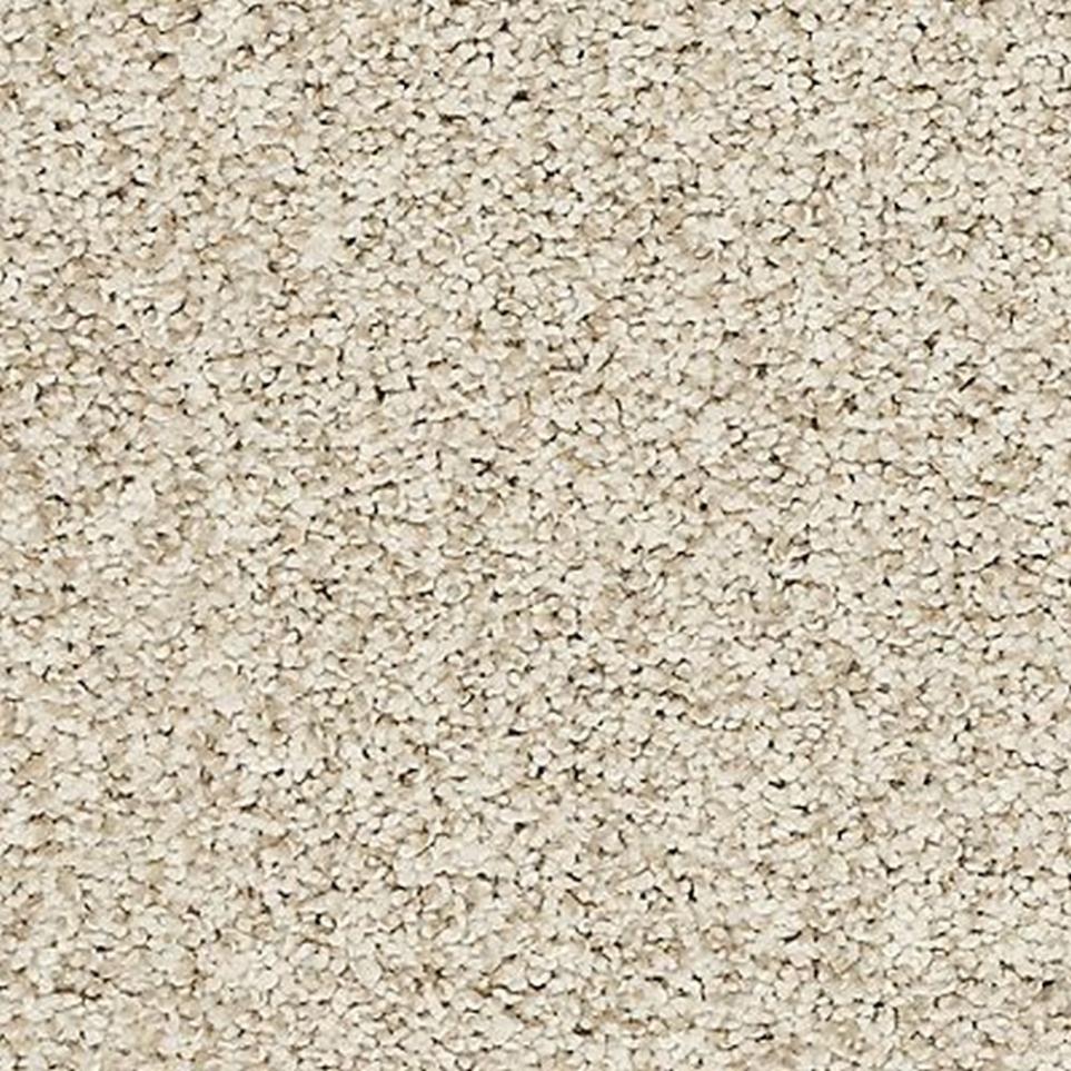 Textured Saxony Haven Brown Carpet