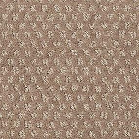 Pattern Cove Beige/Tan Carpet