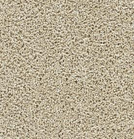 Textured Saxony Great Addition Beige/Tan Carpet