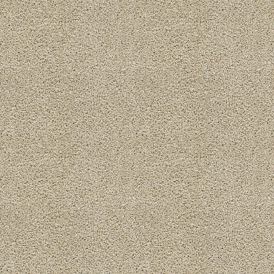 Textured Saxony Great Addition Beige/Tan Carpet