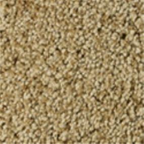 Loop Lost Horizon Beige/Tan Carpet