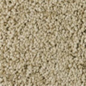 Loop Tibet Beige/Tan Carpet