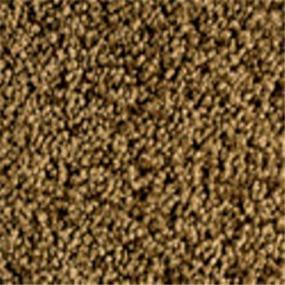 Loop Hideaway Brown Carpet