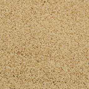 Loop Sondra Beige/Tan Carpet