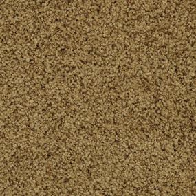 Loop Explorer Beige/Tan Carpet