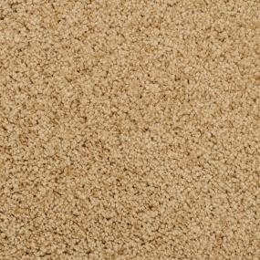 Loop Conway Beige/Tan Carpet