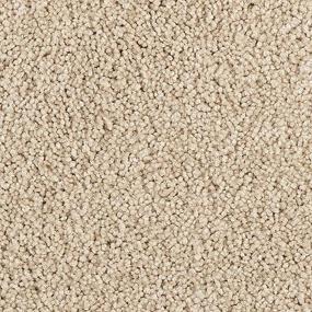 Texture Natural Brown Carpet