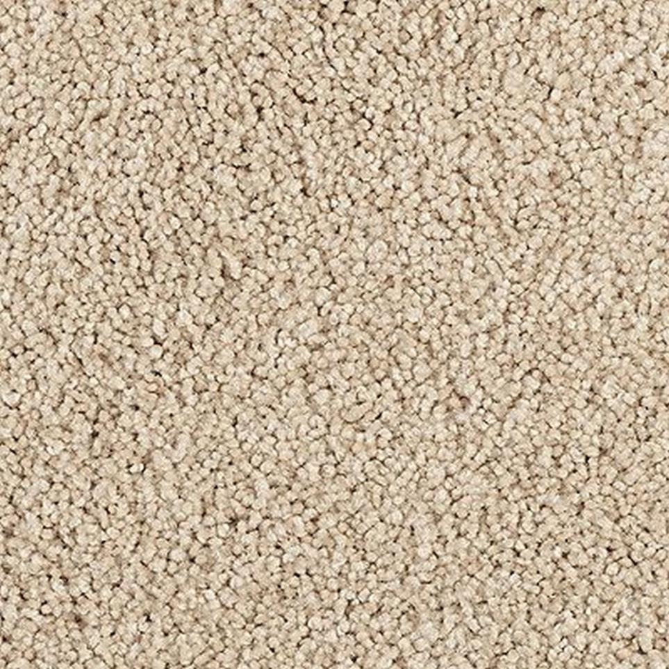Texture Natural Brown Carpet