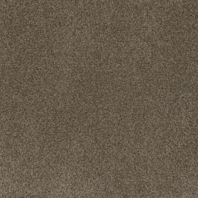 Textured Saxony Tyron Hall Brown Carpet