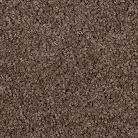 Texture Cocoa Brown Carpet