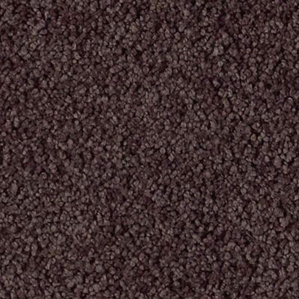 Textured Saxony Fantasia Brown Carpet