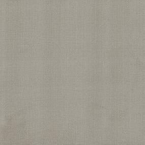 Loop Haze Gray Carpet