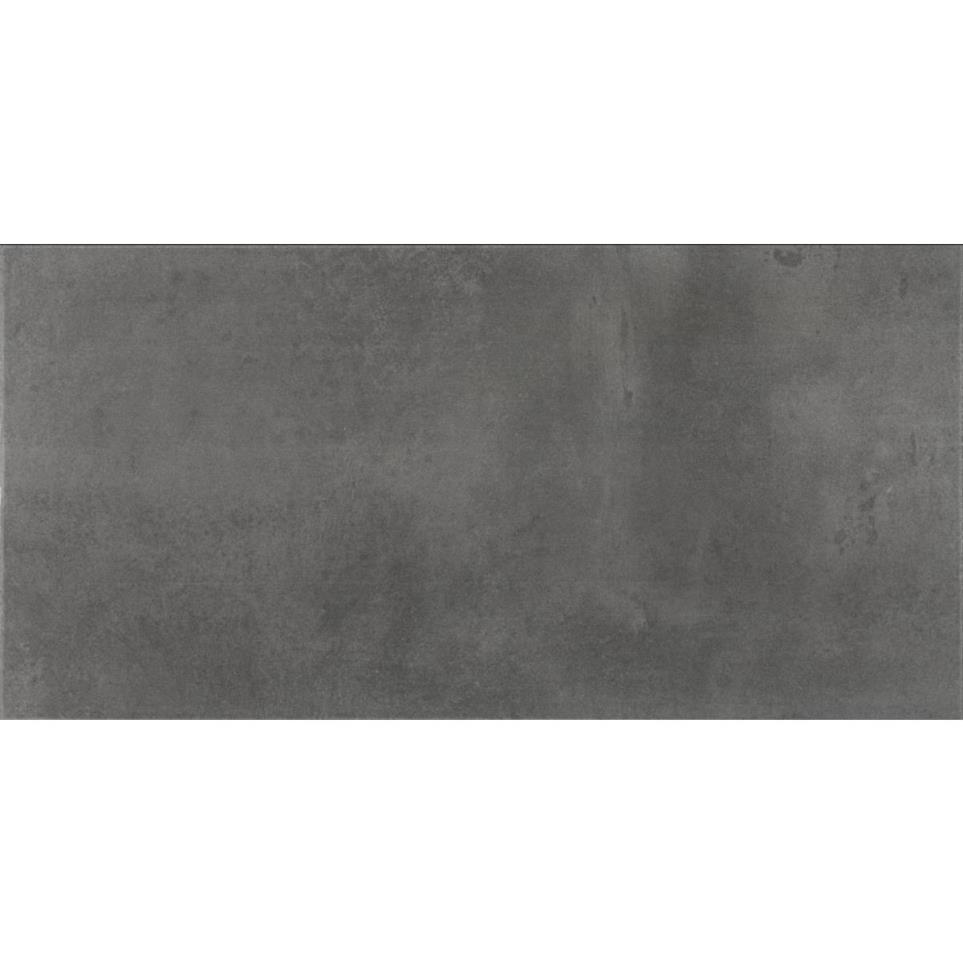 Tile Titanium Light Polished Gray Tile