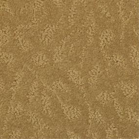 Pattern Sierra                         Beige/Tan Carpet