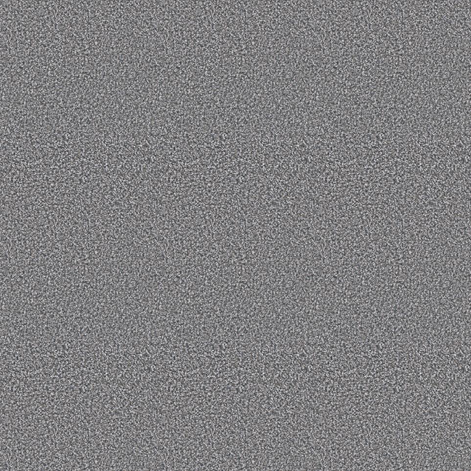 Texture Transpire Gray Carpet