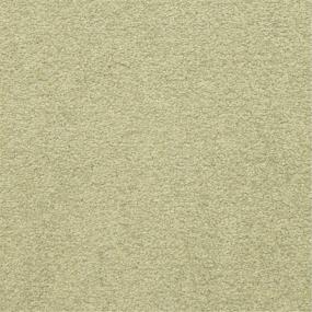 Casual Texture Tropical Green Carpet