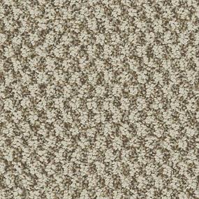 Pattern Basketry Beige/Tan Carpet