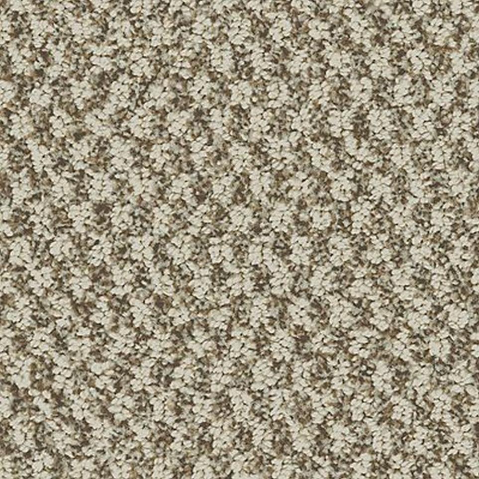 Pattern Basketry Beige/Tan Carpet