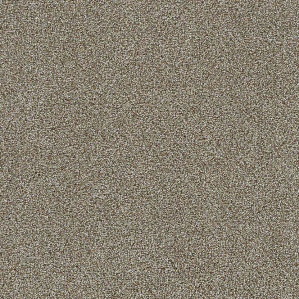 Textured Saxony Everlasting Brown Carpet
