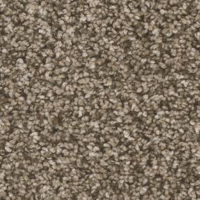 Textured Saxony Protocol Brown Carpet