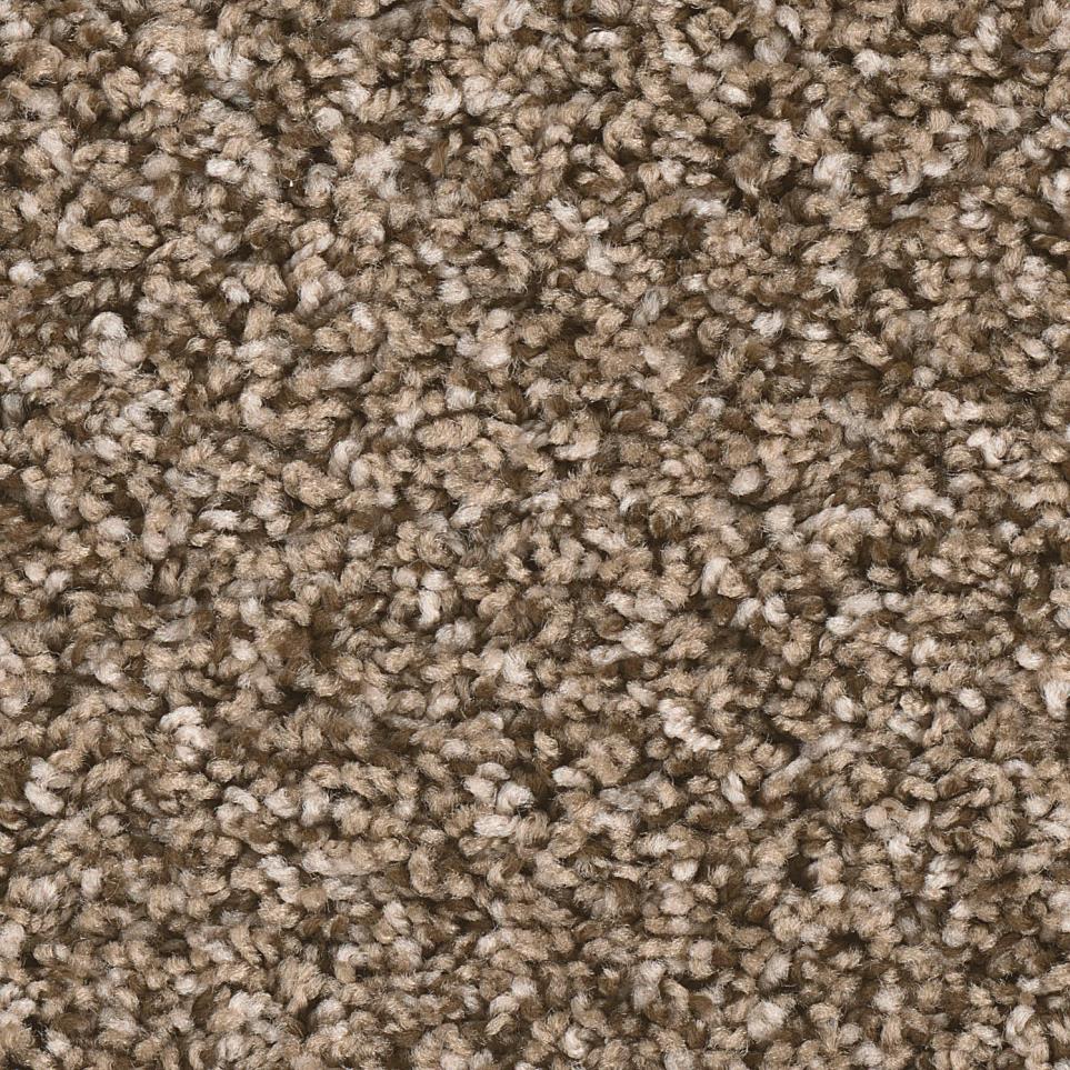 Texture Protocol Brown Carpet