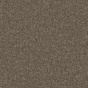 Casual Texture Radiant Brown Carpet