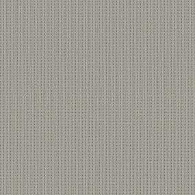 Loop Boulder Gray Carpet