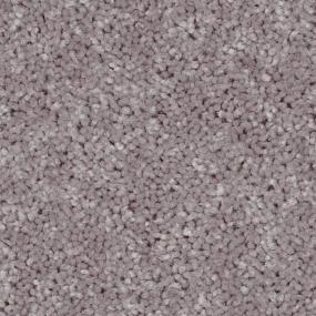 Textured Saxony Merino Gray Carpet