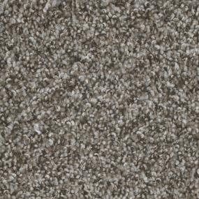 Textured Saxony Acoustic Brown Carpet