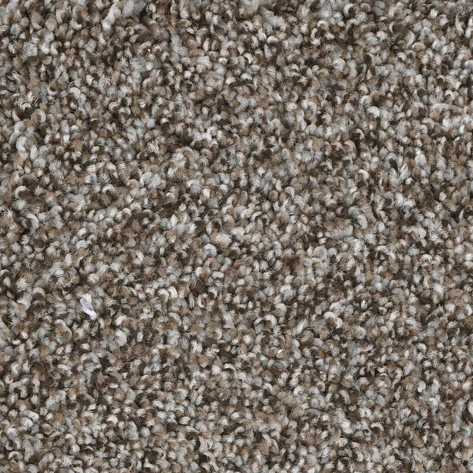 Texture Acoustic Brown Carpet