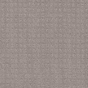 Pattern Silver Dollar Gray Carpet