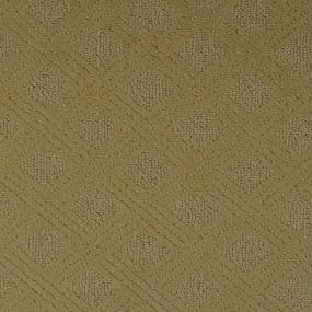 Pattern Toasted Almond Beige/Tan Carpet