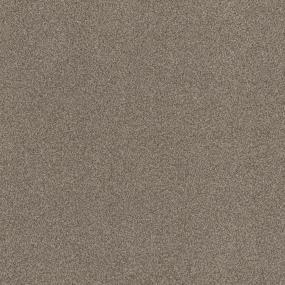 Casual Texture Driftwood Beige/Tan Carpet