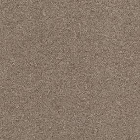 Casual Texture Driftwood Beige/Tan Carpet