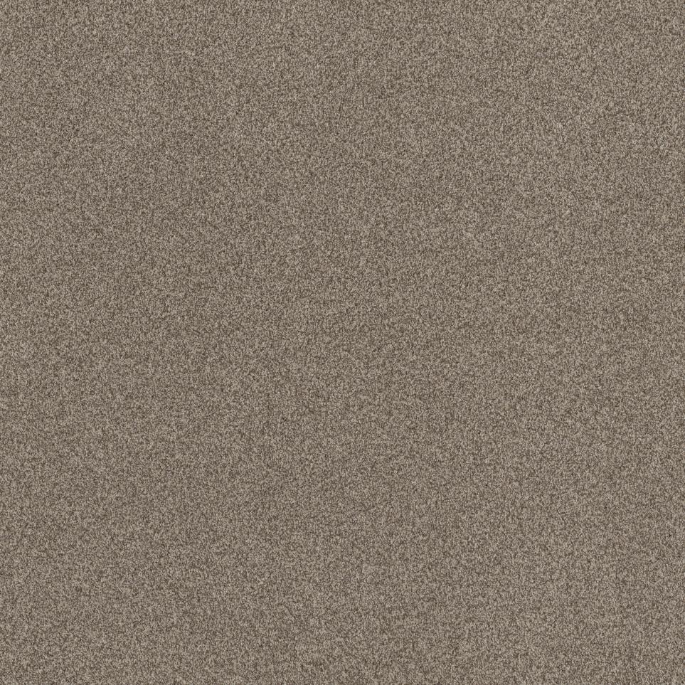 Casual Texture Driftwood Beige/Tan Carpet