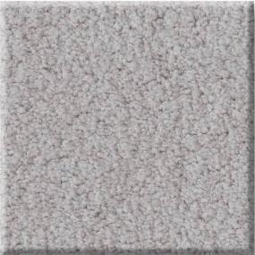 Plush Mystery Gray Carpet