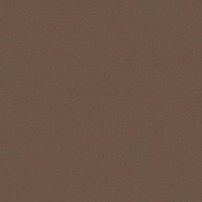 Texture Fox Run Beige/Tan Carpet
