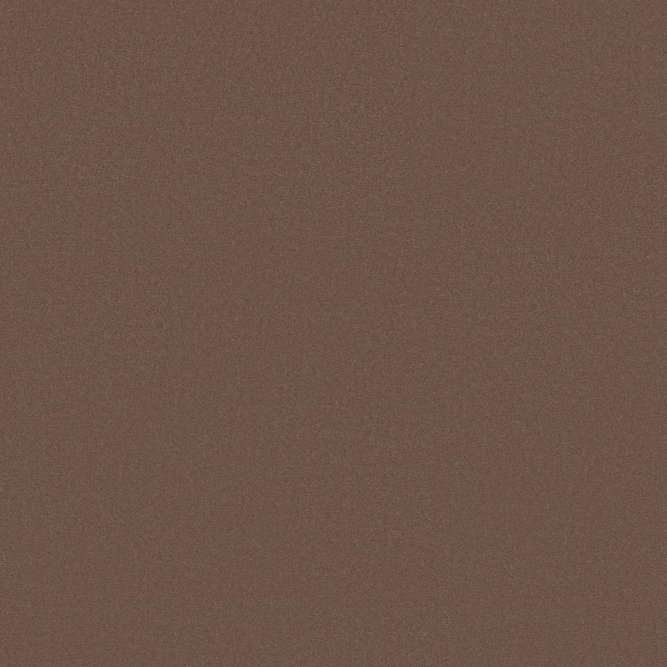 Texture Fox Run Beige/Tan Carpet