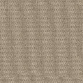 Berber Pueblo Tan Beige/Tan Carpet