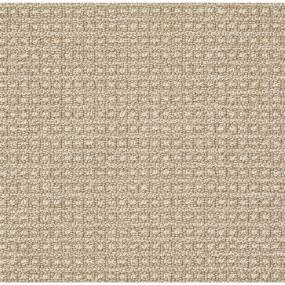 Berber Pueblo Tan Beige/Tan Carpet