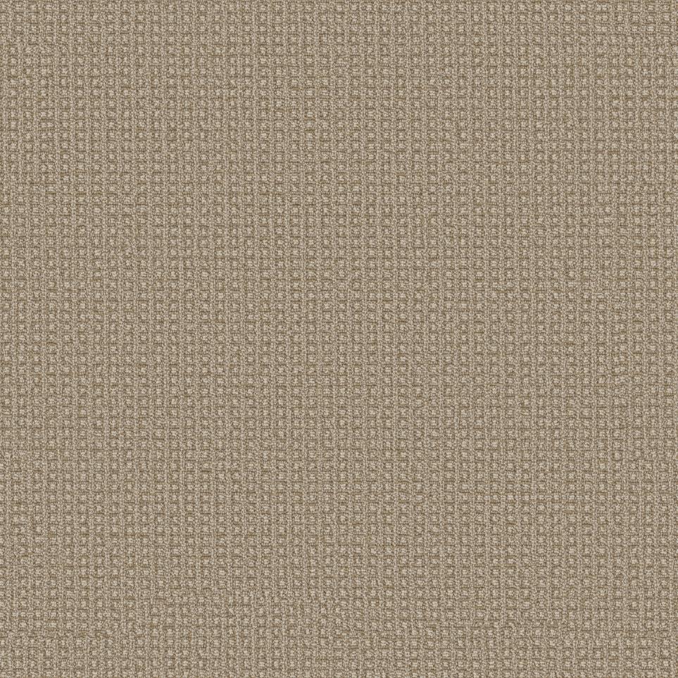 Berber Pueblo Tan Beige/Tan Carpet
