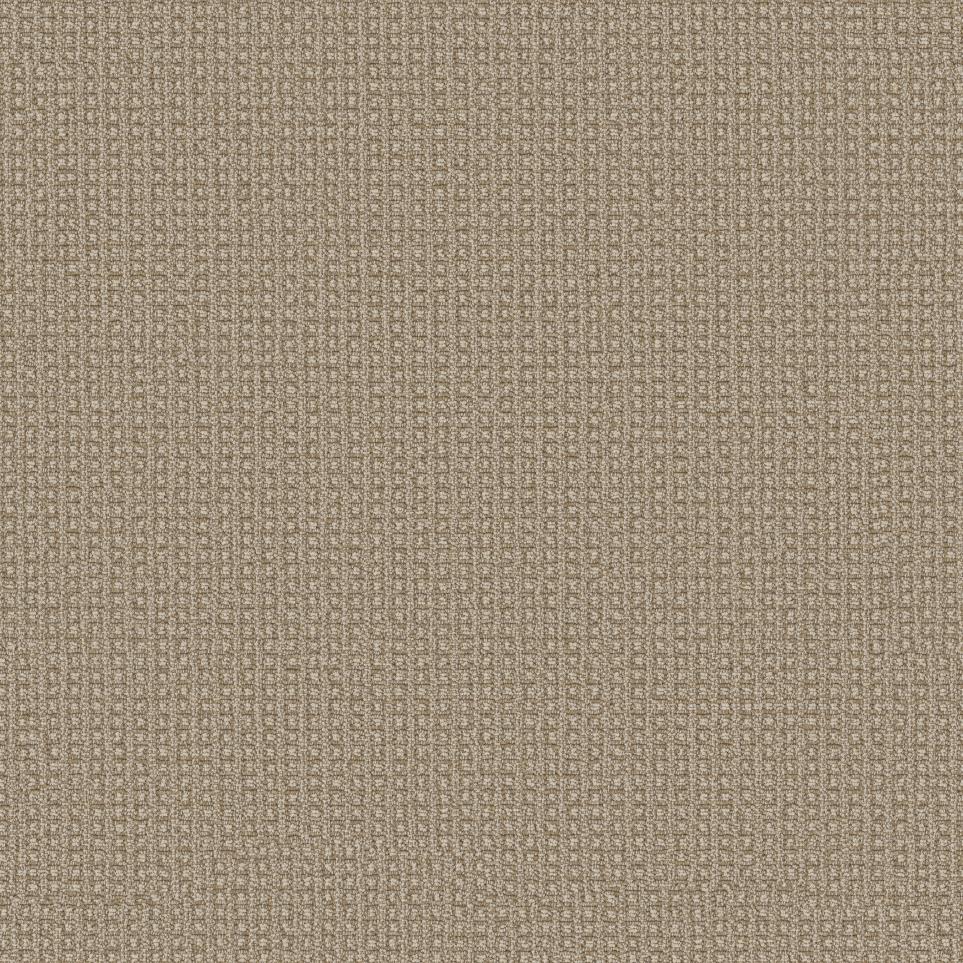 Berber Pueblo Tan Beige/Tan Carpet