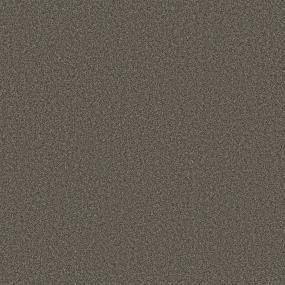 Textured Saxony Hot Coffee Brown Carpet